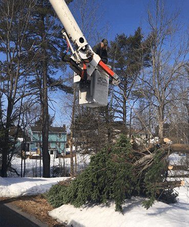 Capital Area Tree Service has bucket trucks.