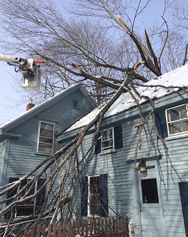 Capital Area Tree Service does storm damage clean up.