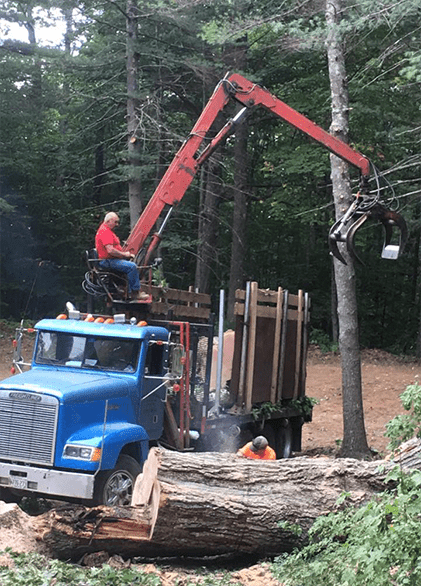 Capital Area Tree Service does land clearing and selective cutting.