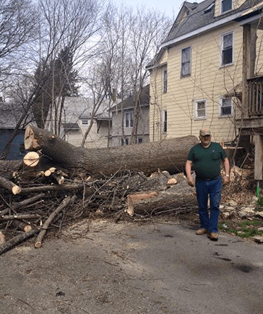 Capital Area Tree Service does tree removal.